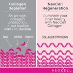 NeoCell Super Collagen With Vitamin C and Biotin 270 Tablets | Ultimate Beauty Supplement - Image 3