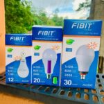 Fibit LED Rechargeable Bulb